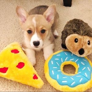 Meet your Posher, Kelly